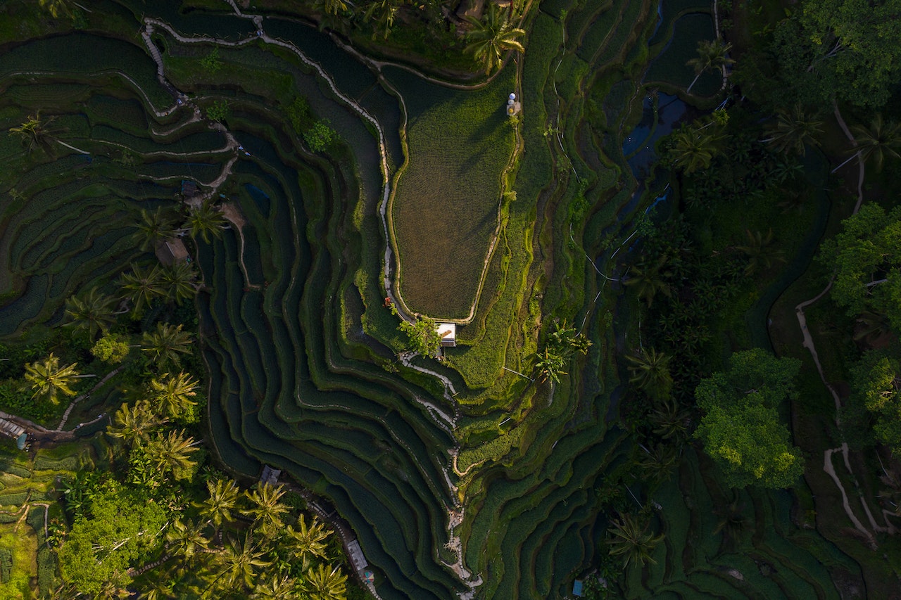 pexels-mikhail-nilov-6965514-min-bali-indonesia Image