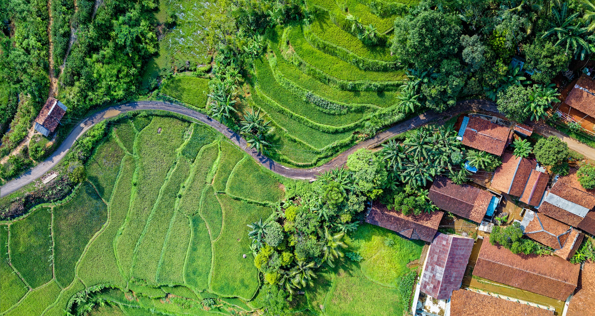 pexels-tom-fisk-1555581-min-indonesia Image